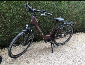 E-Bike Damen Fahrrad