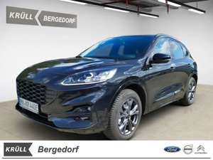 Ford Kuga ST-Line X Hybrid AHK RFK 360 Grad Navi