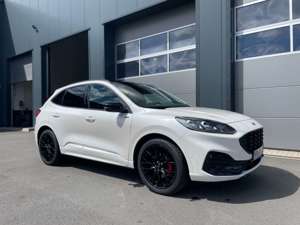 Ford Kuga 2.5 Dura ST-Line X,LED,BO,Kamera,Panorama