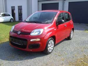 Fiat Panda Pop/Klima/Servo/2. HD/wenig Kilometer