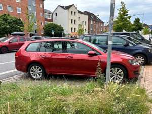 Volkswagen Golf Golf Alltrack 1.6 TDI 4Motion BlueMotion Technol.