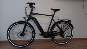 E-Bike, Giant Daily Tour E+3