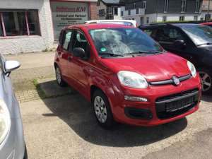 Fiat Panda 1.2 Pop