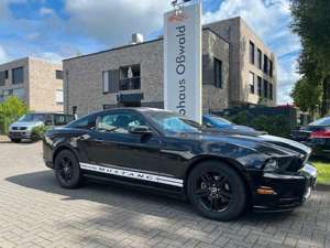 Ford Mustang 3,7