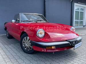 Alfa Romeo Spider 1.6 Pininfarina 103PS Leder