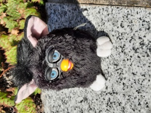 Furby zu verkaufen Ver