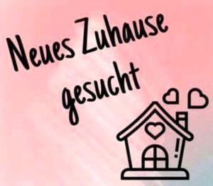 Familie sucht dringend Haus oder Wohnung zur miete 