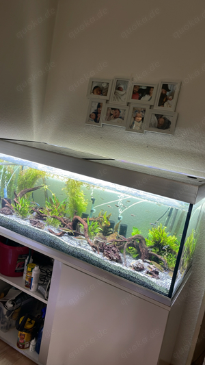 Aquarium Eheim Proxima 325 + Viele Zubehör (CO2,LED,Filter)