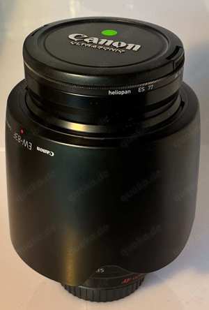 Canon EF 24 70 2.8 L mit Gegenlichtblende Objektive & Filter Objektive