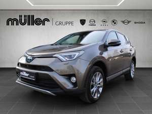 Toyota RAV 4 RAV4 Hybrid 2.5 4x2 Team Deutschland