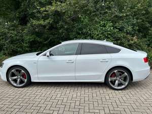 Audi A5 2.0 TDI Sportback DPF (clean diesel)