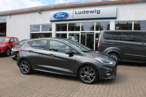 Ford Fiesta ST-Line Navi Pano Winterpaket PPS LED