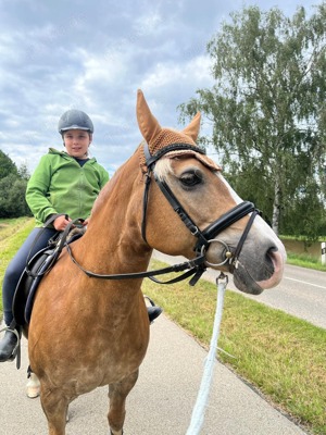 Reitstunden für Kinder