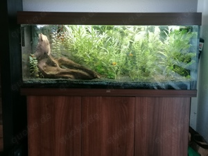 Aquarium Juwel Rio 240 Liter