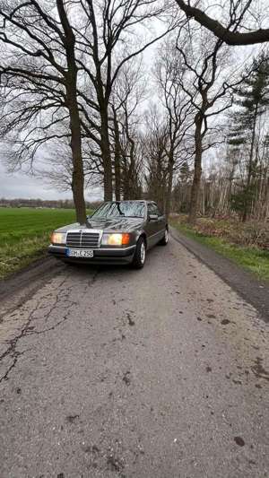 Mercedes-Benz E 250 H-Zulassung