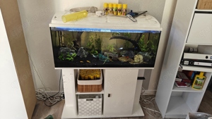 160L Aquarium mit Unterschrank Besatz und Zubehör 