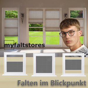 Plissee Rollo nach Maß Bild 2