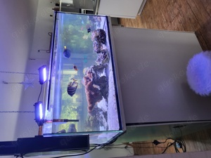 Meerwasser Aquarium Komplettset