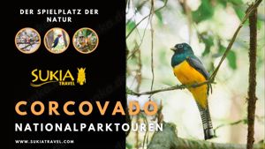 Corcovado-Nationalpark-Touren von Sukia Travel