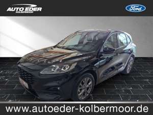 Ford Kuga ST-Line leichter Hagelschaden Bluetooth Navi