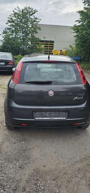 Fiat Grande Punto Grande Punto 1.2 8V Dynamic 1. Hand Tüv neu