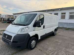 Fiat Ducato Kühlausbau Winter Diavia 3000