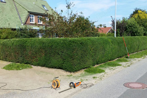 Hilfe Gartenarbeit Malern