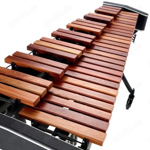 Xylophone 