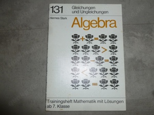 Algebra Trainingsheft ab 7.Klasse Mathematik