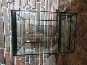 kleines Glas Terrarium 20x30cm