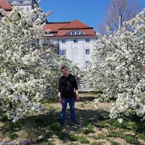 einfach mal Ficken in Dresden 