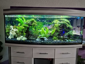 500l Aquarium mit Garantie 