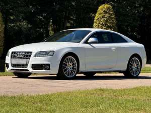 Audi S5 4.2 FSI QUATTRO | S-LINE | BO | CARBON |