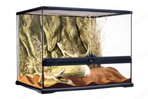 [SUCHE] Exoterra Exo Terra Terrarium 60x45x45 Reptilien