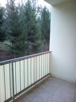 4Zi.-Whg. Balkon, Wanne, Garage, Garten in Sgh. Wippra Bild 8