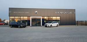 Peugeot 3008 Bild 4