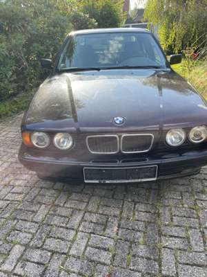 BMW 530 530i V8