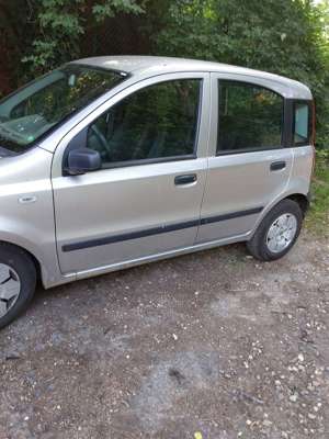 Fiat Panda Panda 1.1 Young