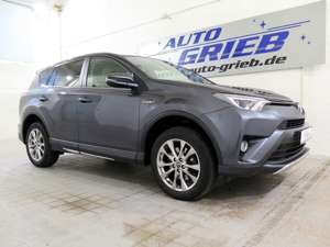 Toyota RAV 4 Executive Hybrid, 4x4, Executive Hybrid,LED,Leder