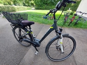 E-Bike Pegasus 