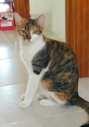 Emmi und Ellie (ALO) Bild 5