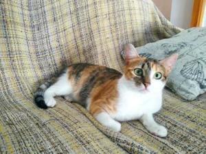 Emmi und Ellie (ALO) Bild 3