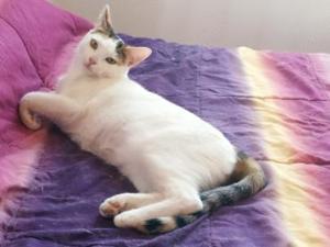 Emmi und Ellie (ALO) Bild 2