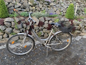 Damenrad City-Fahrrad Schauff