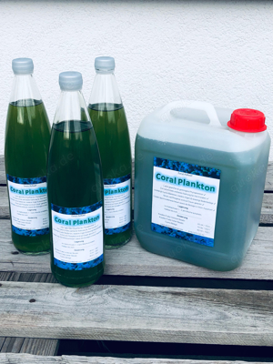 Phytoplankton     Meerwasser    TOP Qualität 