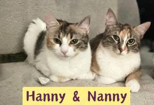 Hanny und Nanny warten schon auf dich