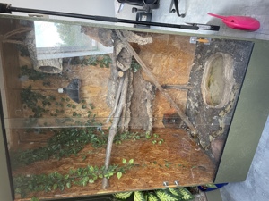 Terrarium XXL