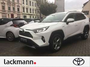 Toyota RAV 4 Hybrid 4x4 Team D *Navi*Technik-Paket*LED*