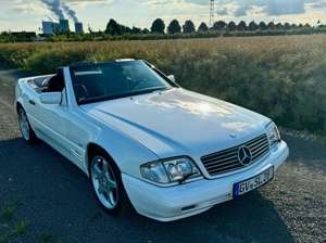 Mercedes-Benz SL 500 top gepflegt und gewartet