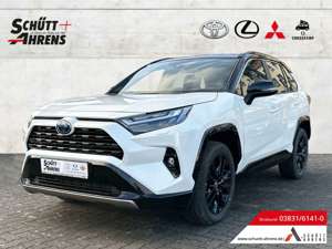 Toyota RAV 4 H3 Style AWD LED ACC LEDER PDCv+h KAM ASSi